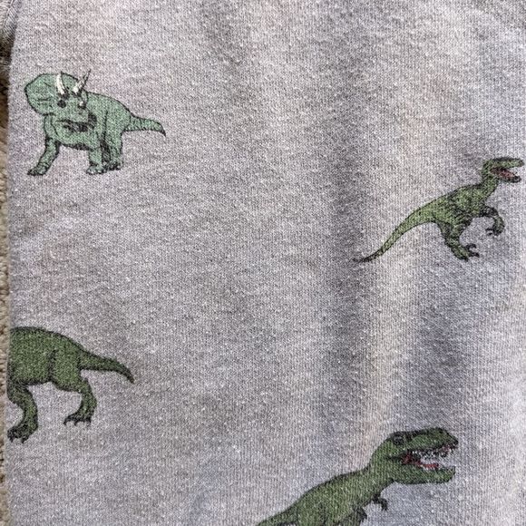 Dinosaur Sweatshirt - Picture 2 of 4